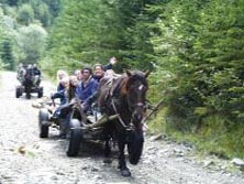 Balkan, Osteuropa, Rumnien: Das Herz Rumniens - Kutschfahrt mit dem Pferdewagen